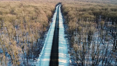 Driving Through Snowy Road Inside The Forest Stock Footage 170380394
