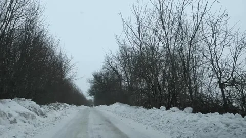 Driving through a snowy road surrounded by trees on a winter day 스톡 동영상 331901600