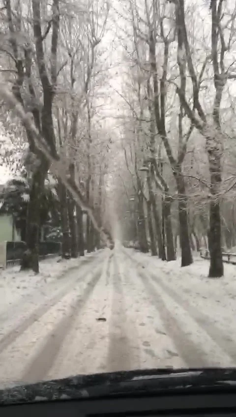 Driving Through Snowy Tree-Lined Road in Winter Stock Footage 327873311