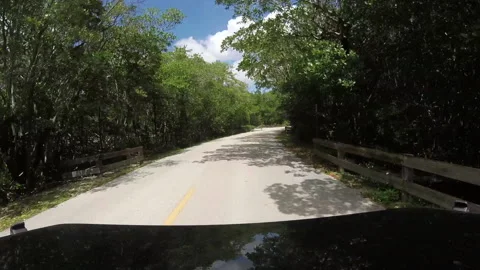 Driving through South Florida Suburb, GoPro mounted on Hood, No Traffic Stock Footage 185099688