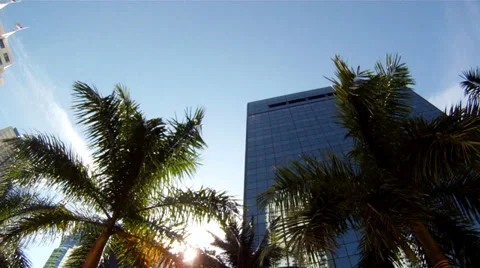 Driving through the streets of Miami Stock Footage 31210132