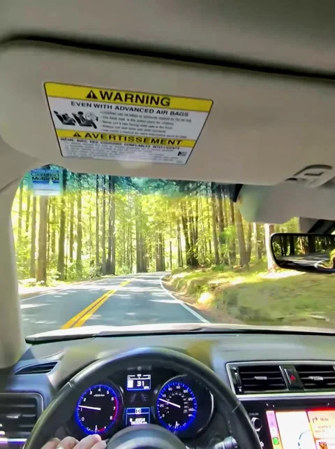 Driving Through a Sunlit Forest Trail Stock Footage 293741083