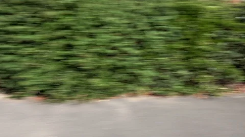 Driving through town Stock Footage 94900829