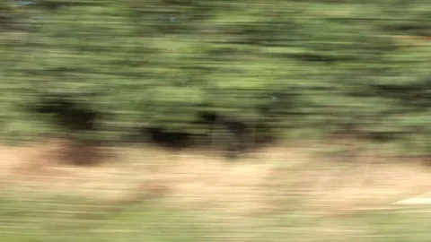 Driving through town Stock Footage 94902329