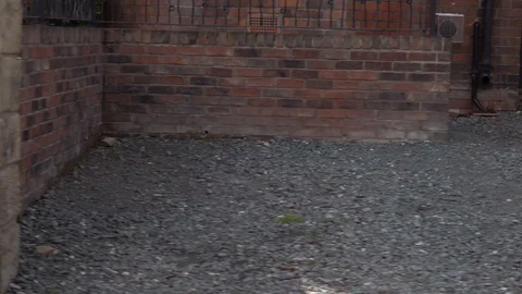 Driving through town Stock Footage 94910347