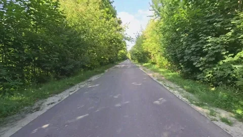 Driving through tree-lined countryside asphalt road in summer Stock Footage 314304650