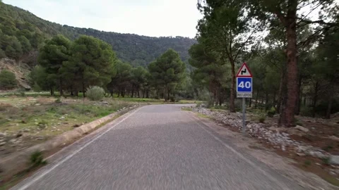 Driving through TreeLined Pathway Mountain Road That Winds Through the Beauty of Stock Footage 294414196