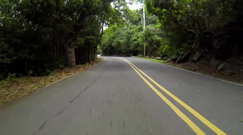 Driving through the trees in the USVI Stock Footage 41539965