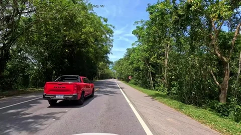 Driving Through Tropical Forest Road and Green Landscape Video stock 336223441