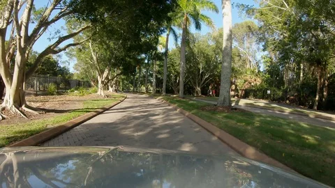 Driving through a tropical Palm Tree lined road dividing a golf course Stock Footage 101625586