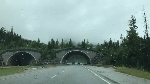 Driving through tunnel Stock Footage