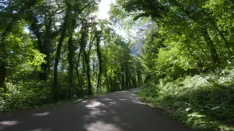 Driving through a typical landscape of Provence, France. Driver's view. Video stock 301825742