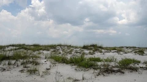 Driving through undeveloped beach area road in Gulf Islands National Seashores Video stock 54920597