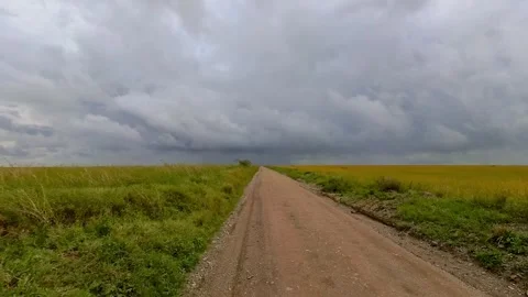 Driving through vast open savannah of the Serengeti national park during cl.. Video stock 323331301