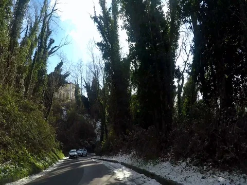 Driving through Vesuvius mount in a winter day Stock Footage 71531001