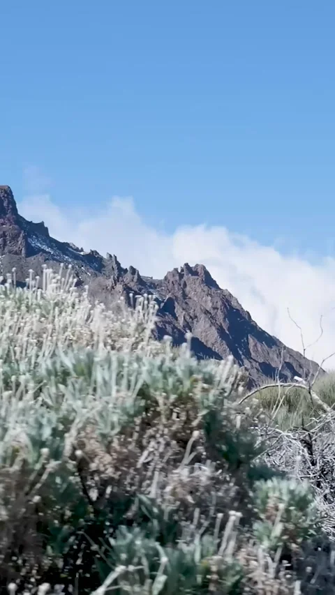 Driving through the volcanic landscape of teide national park Stock-Footage 329865556