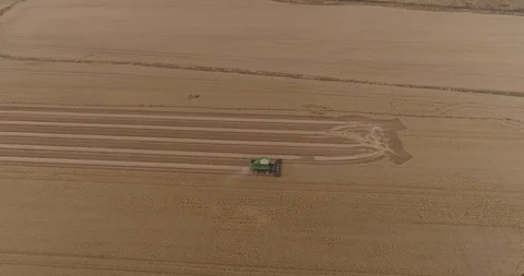 Driving through wheat field Stock Footage 124857083