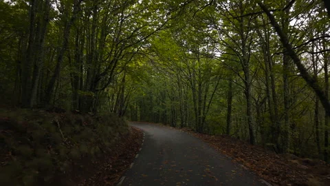 Driving through a winding road in the middle of a green forest in Candelario Stock Footage 348132482