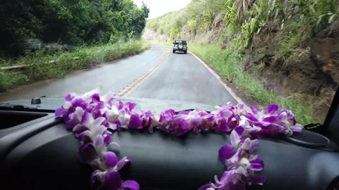 Driving Through Windy Road with Lei on Dashboard Stock Footage 150507530