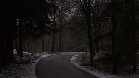 Driving through a winter forest Stock Footage 85917565