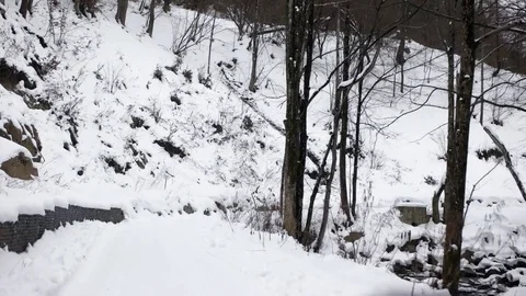 Driving Through the Winter Forest on Snowy Road, First View Driving Pov Around Stock Footage 71794581