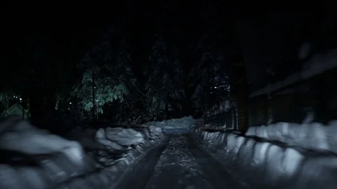 Driving through the winter forest on snowy road at night Video stock 107649973
