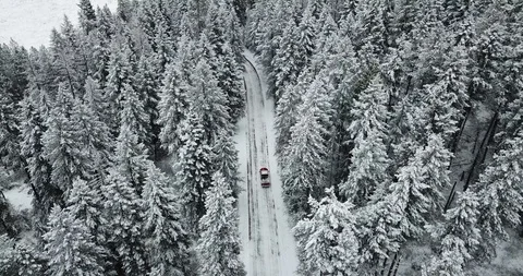 Driving through a WInter Wonderland 库存影片 129649599