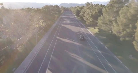 Driving Through The Woods Stock Footage 121981422