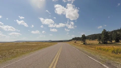 Driving through Yellowstone park, sunny 2.7k Ultra HD Stock Footage 98574341