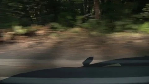 Driving through Yosemite Stock Footage 72054651