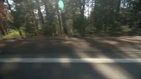 Driving through Yosemite 库存影片 72278387