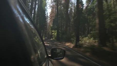 Driving through Yosemite, wing mirror 库存影片 72051564
