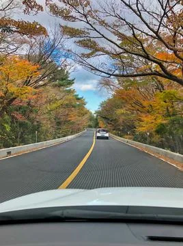 Driving throw the trees in korea Stock Photos