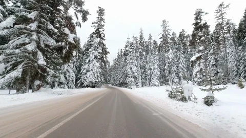 Driving Thru The Forest Road Covered with Snow in Winter Season Video stock 128126093