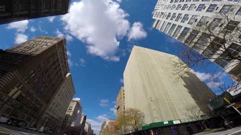 DRIVING TIMELAPSE - PARK AVE NEW YORK CITY CENTRAL PARK UPPER EAST SIDE  Stock Footage 155162461