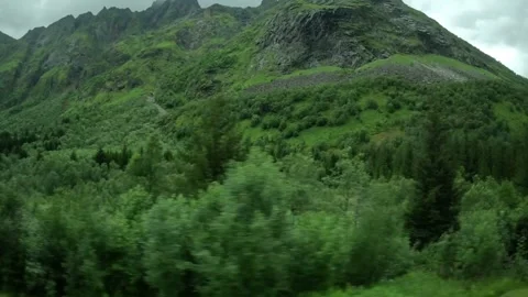 Driving tracking shot past dense forest and steep rocky mountain cliff in Norway Vidéo 343833880