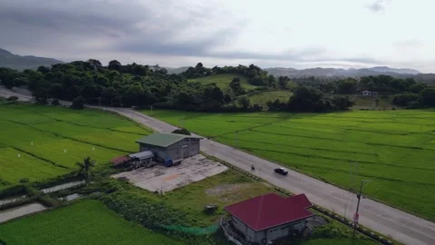 Driving transports on road surrounded by planted fields Stock Footage 247246784