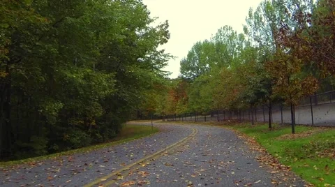 Driving by Trees in Fall Stock Footage 58807729