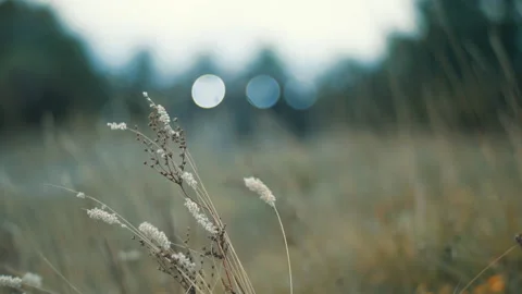 Driving two blocks through the mountain Stock Footage 151913096