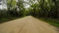 driving under a canopy of live oaks w spanish moss 4k or 4k+ Resolution