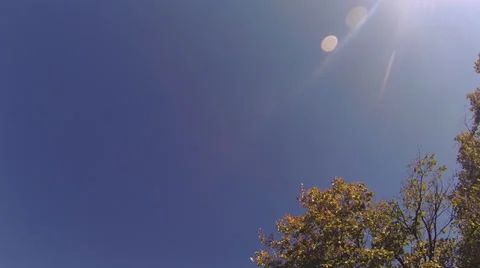 Driving under fall tree canopy on a bright sunny day Stock Footage 31870842