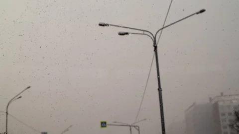Driving under lampposts on a car in a blizzard Stock Footage 111499673