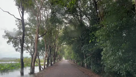 Driving Under Rain from point of view Stock Footage 168919934