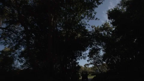 Driving under trees at golf course Stock Footage 113361695