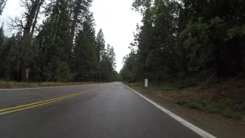 Driving Uphill Through Pine Forest In Sprinkling Rain Stock Footage 220801163