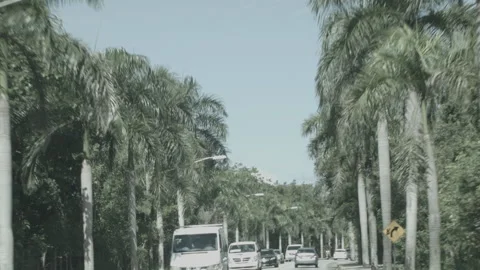 Driving View of Countryside Trees, Sky, and Cars Stock Footage 181568753