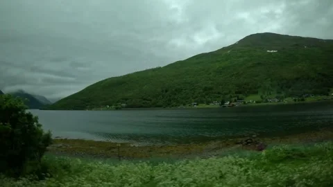 Driving view of green mountain and fjord shoreline with wildflowers in Norway Stock-Footage 341814611