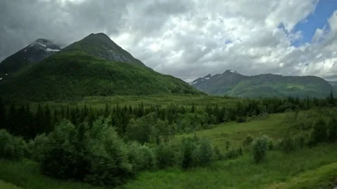 Driving view past dense forest and green mountain peak in Norway Vidéo 343833862