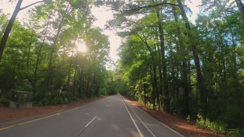 Driving Virginia Highway 库存影片 221964157