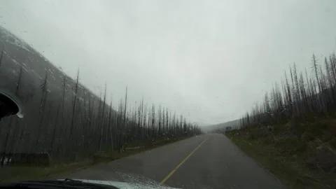 Driving on a wet road through wildfire aftermath as raindrops hit the windshield Stock-Footage 330880426